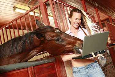 How to make a perfect equestrian dating profile